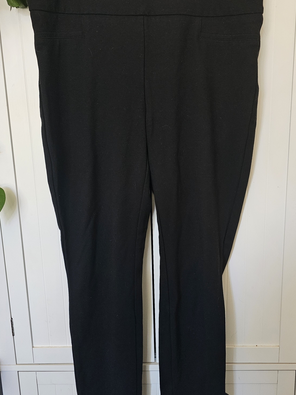 Dalia Black Women’s Stretch Dress Pants